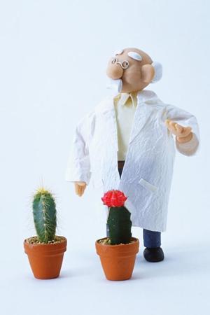 中型自動車からステップアップする